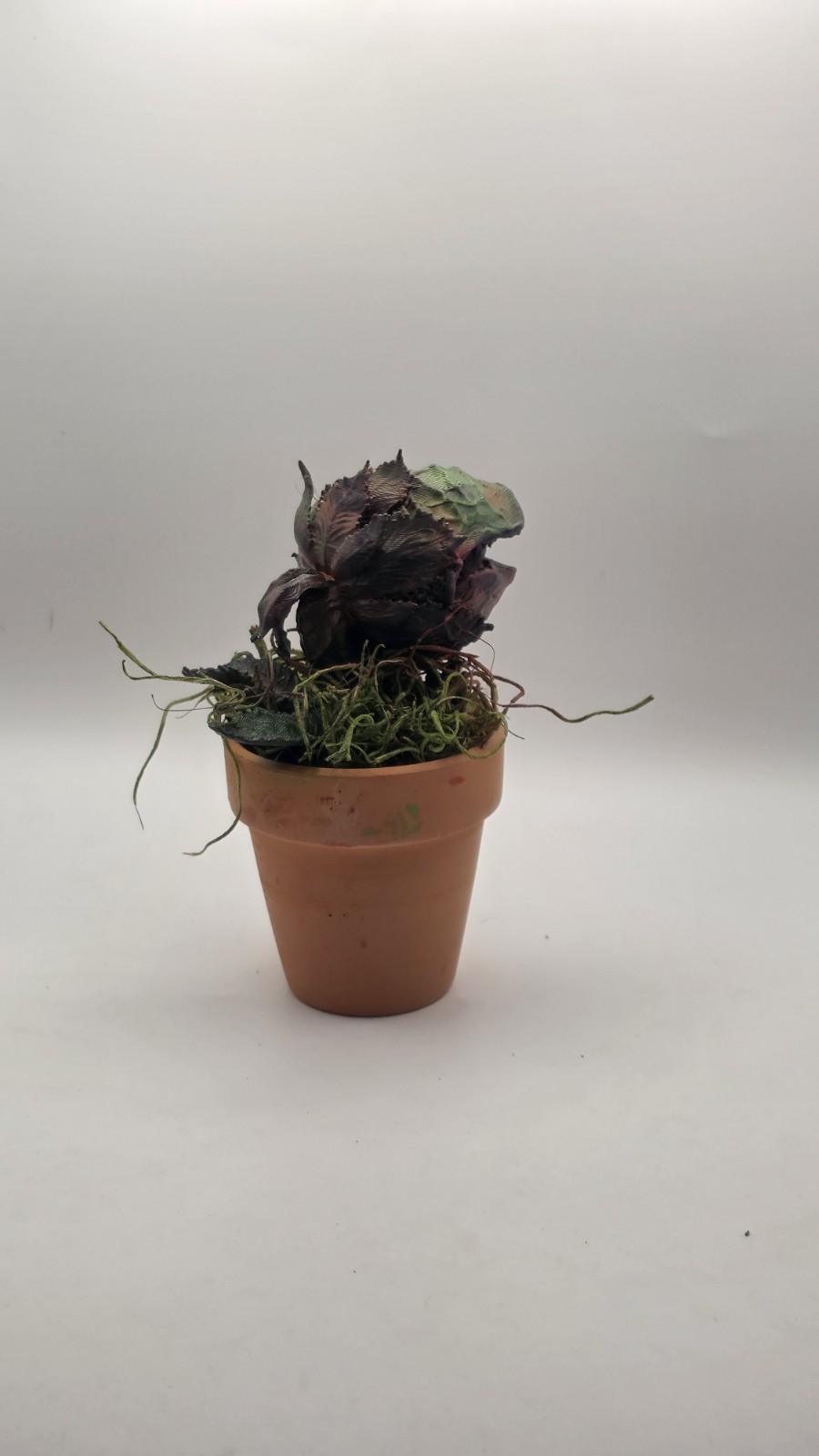 Audrey II Little Shop of Horrors Airbrushed Carnivorous includes Pot & Moss 5″