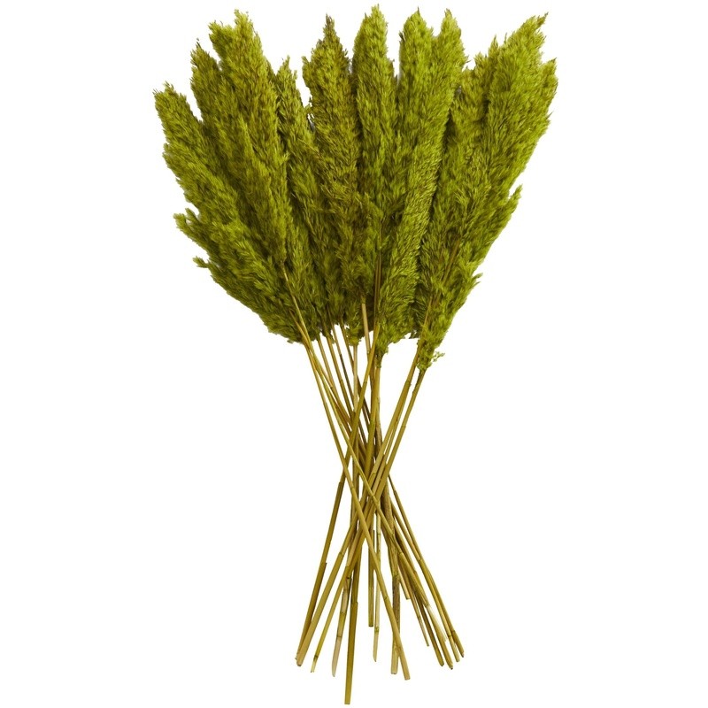 35″ Dried Pampas Grass Natural Foliage Bouquet Long Stems Indoor Decor Plant New