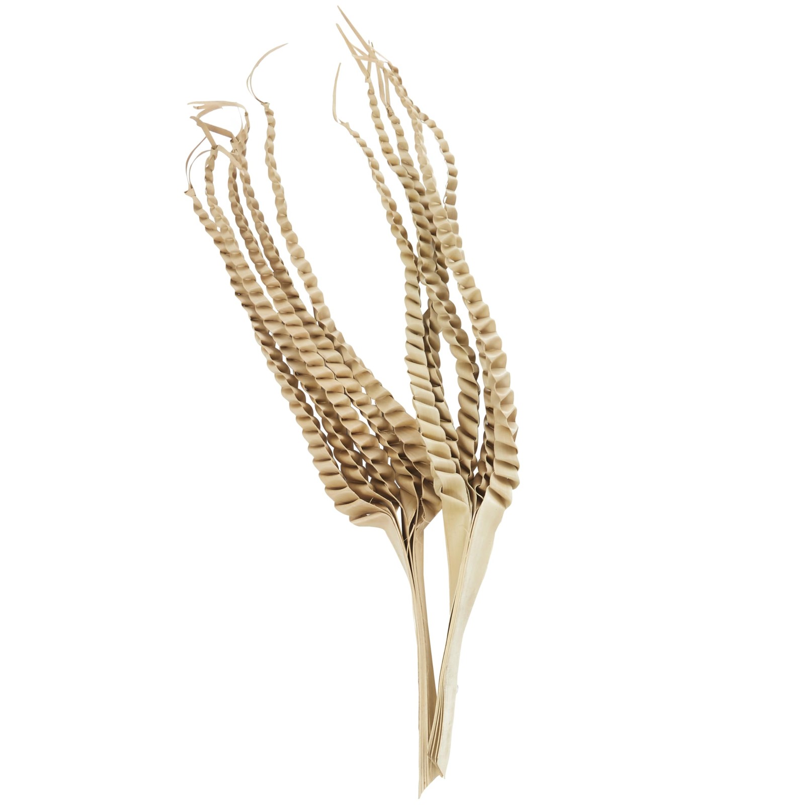 Dried Plant Palm Leaf Handmade Tall Five Finger Natural Foliage, 10″ x 4″ x 3…