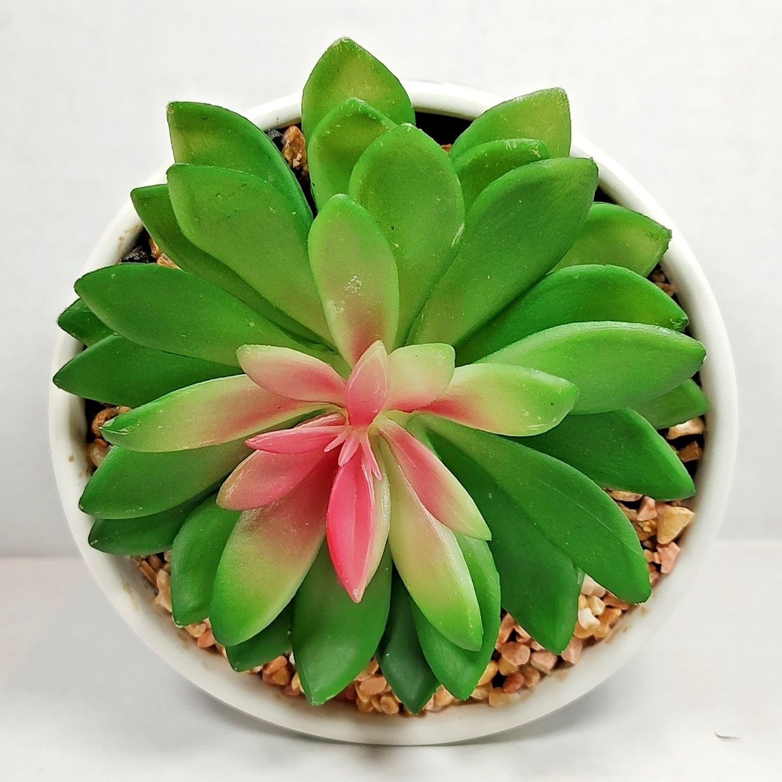 Modern Coastal Artificial Succulent Potted Houseplant Navy Blue White Chevron