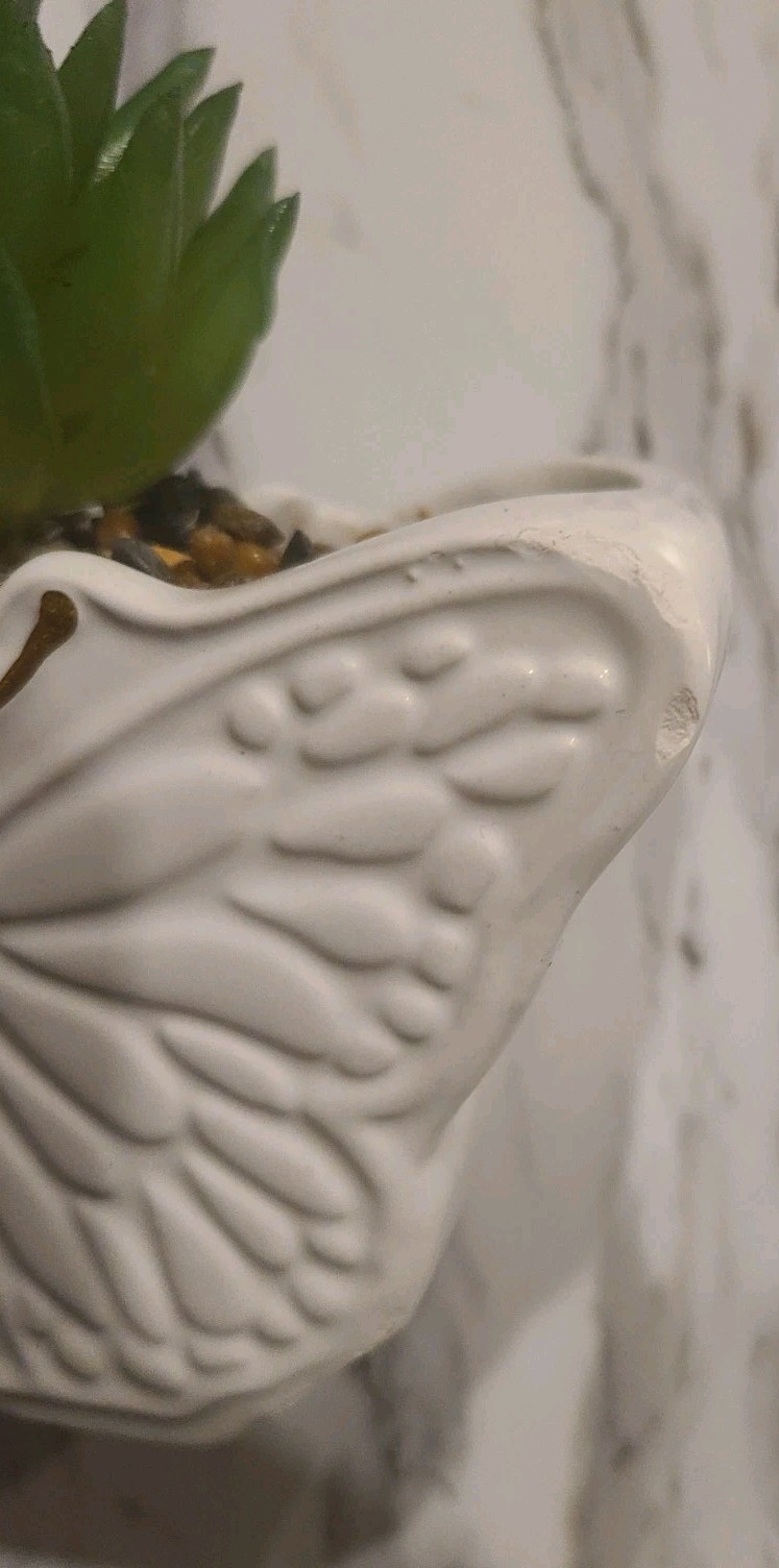 1 Pc Butterfly Planter Faux Succulent Gift (Some Chipping Wear)