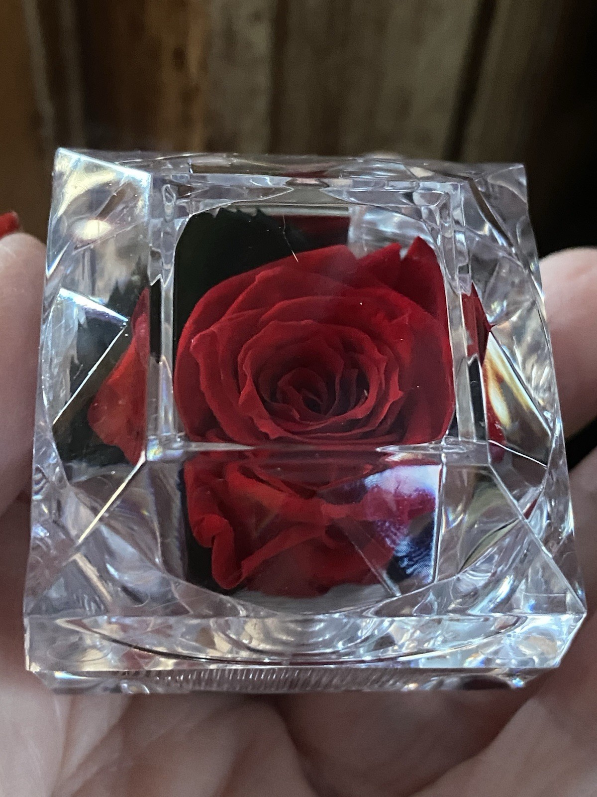 Preserved Rose Real Forever Rose in Mini Clear Ring Box, Eternal RED Rose NEW
