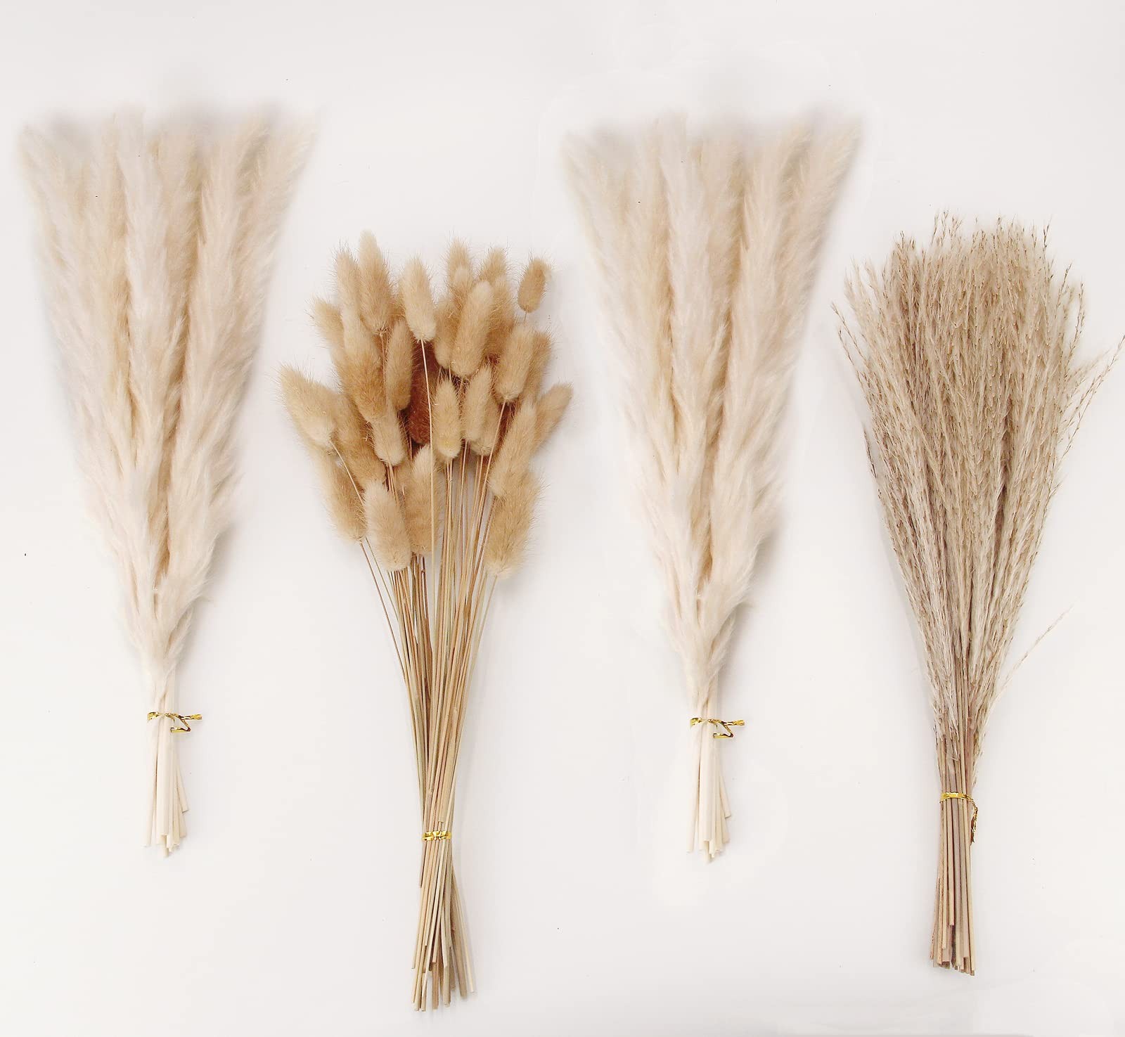 Natural Dried Pampas Grass Decor, White Pampas Grass， Bunny Tails Dried Flowe…