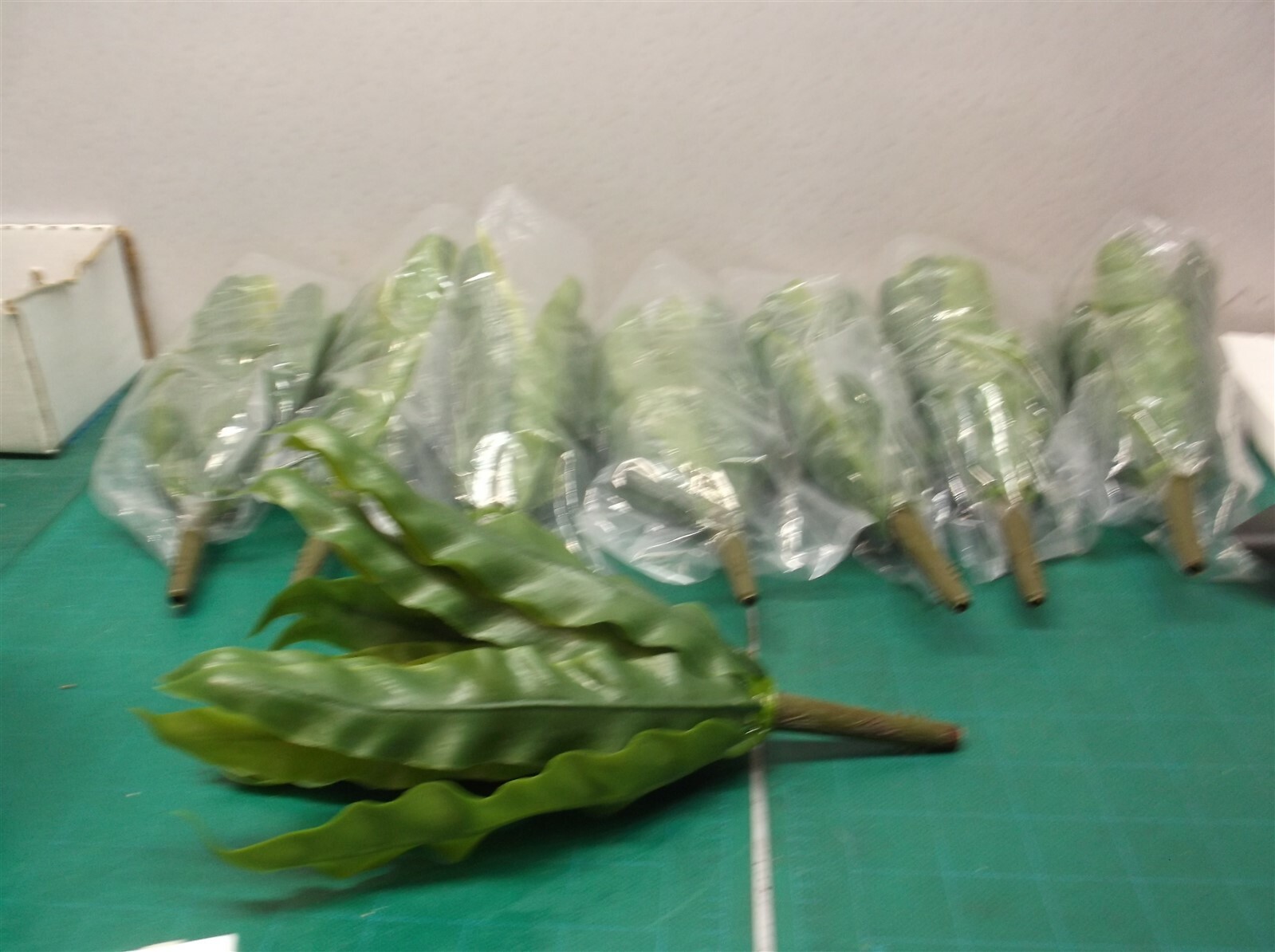 2-8 Piece Sets Indoor 9 in. Birds Nest Fern Artificial Plant