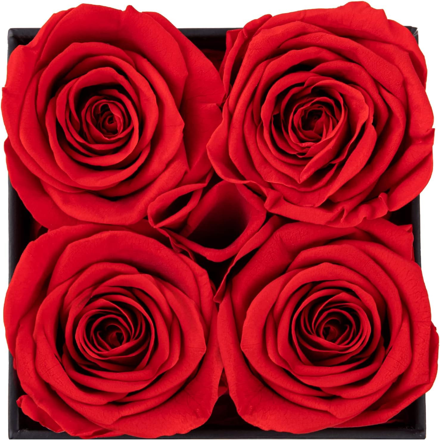 Preserved Rose, Mothers Day Roses in a Box, Forever Preserved Roses Gift for Mom