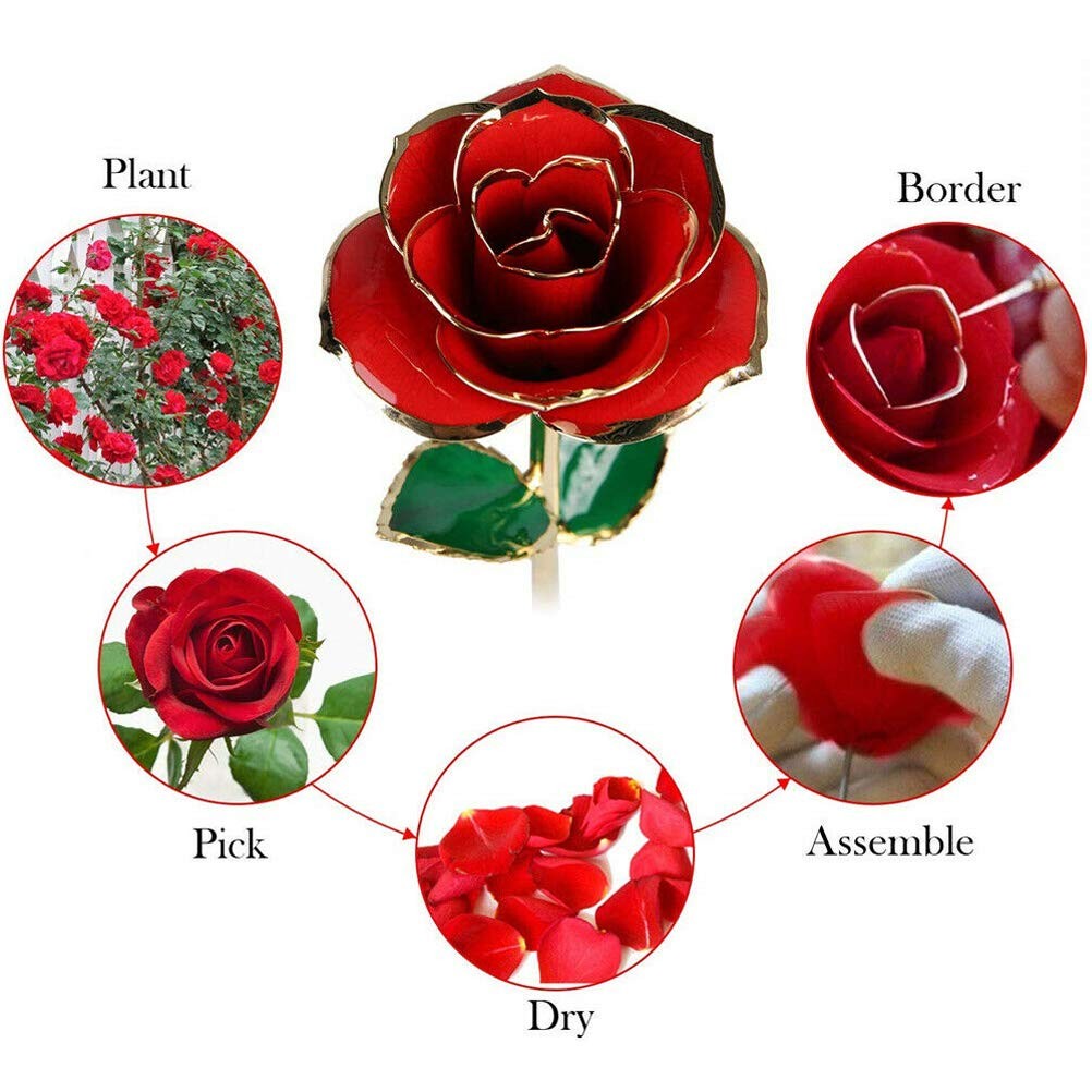 Valentines Day Gifts for Her, Real Rose Dipped in 24K Gold, Preserved Rose Fl…