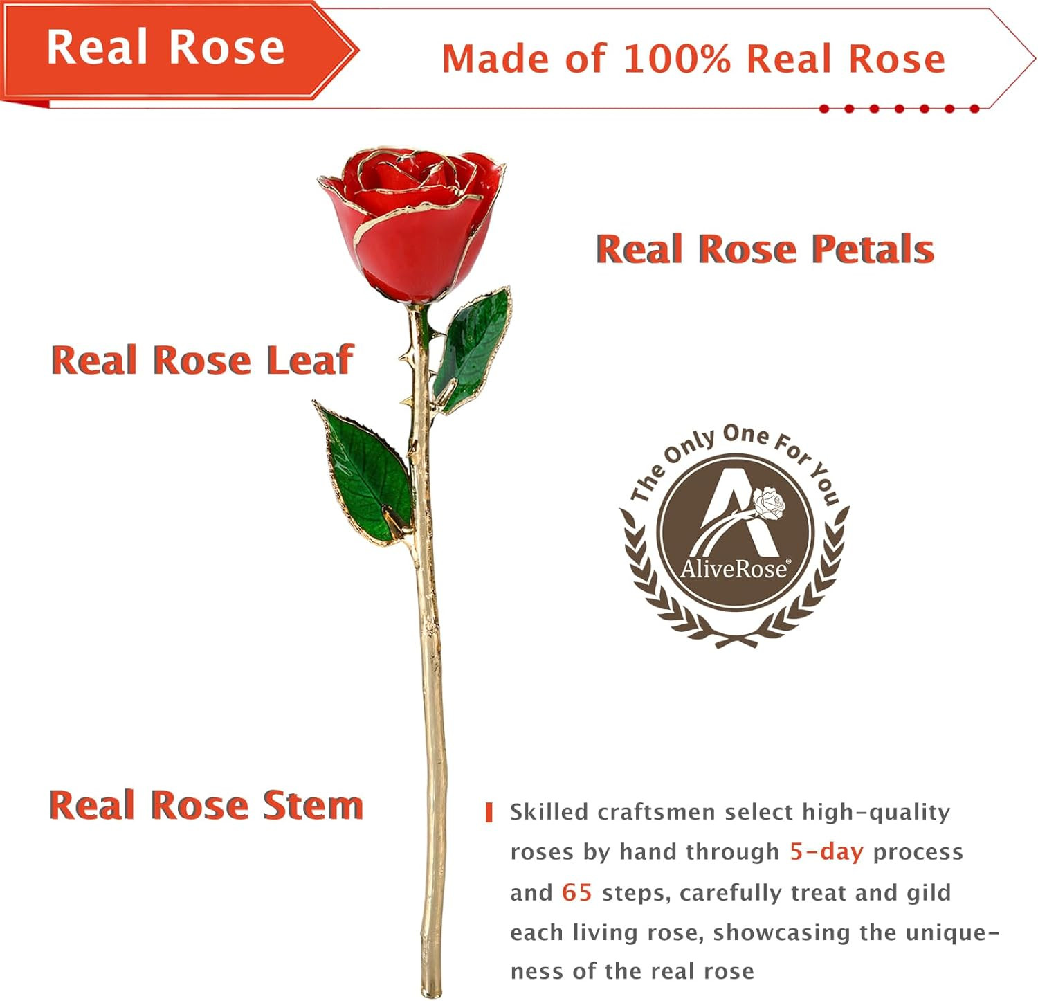 24K Gold Dipped Rose Made from Real Rose – Unique Design for Anniversary, Valent