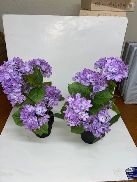 Set of 2 18″ Hydrangea Potted Plants by Valerie, variegated purple, New, (#243)