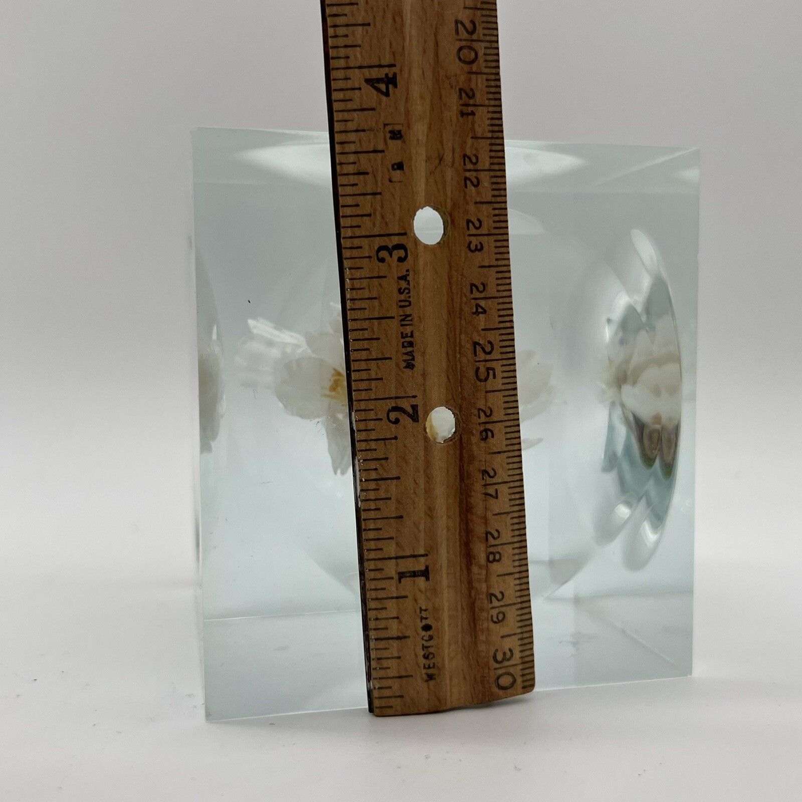 Crystal Clear Lucite Acrylic Large 3 3/4in” Sola Cube Cherry Blossom Flowers