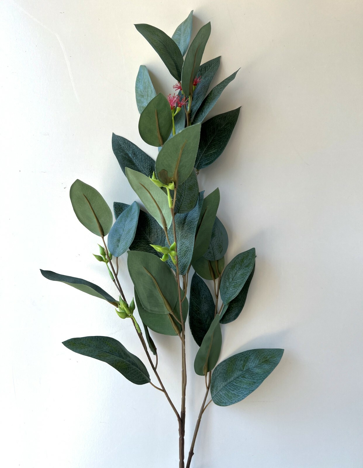 Australian Native Flowers Eucalyptus Blossom Greenery Stem Latex leaf Foliage x1