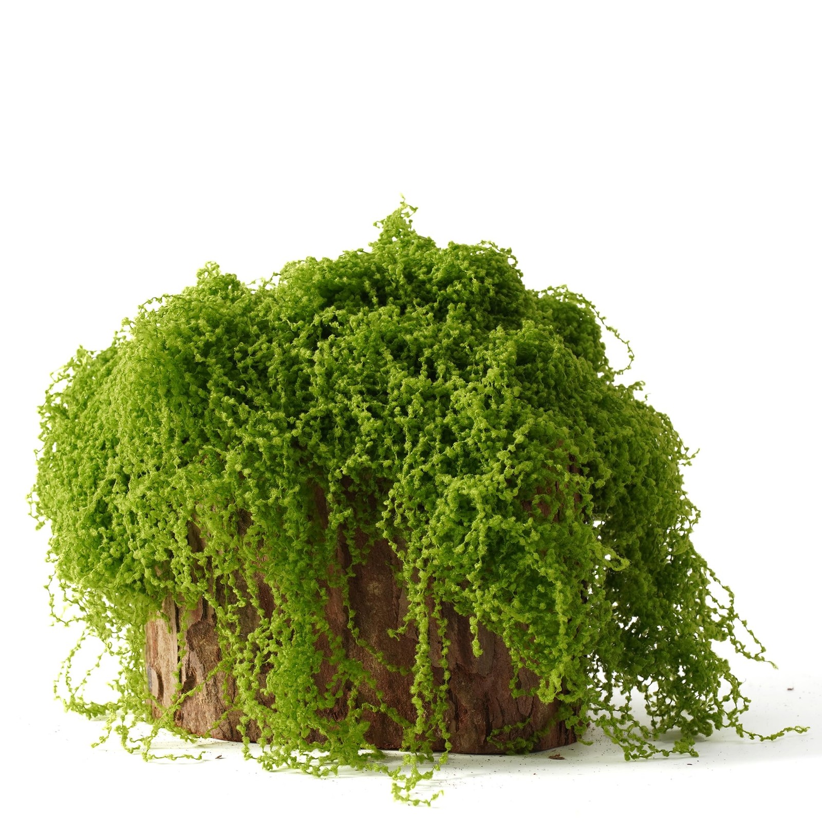 Fake Moss for Crafts – 3.5OZ Fluffy Cloudlike Artificial Moss for Potted Plan…