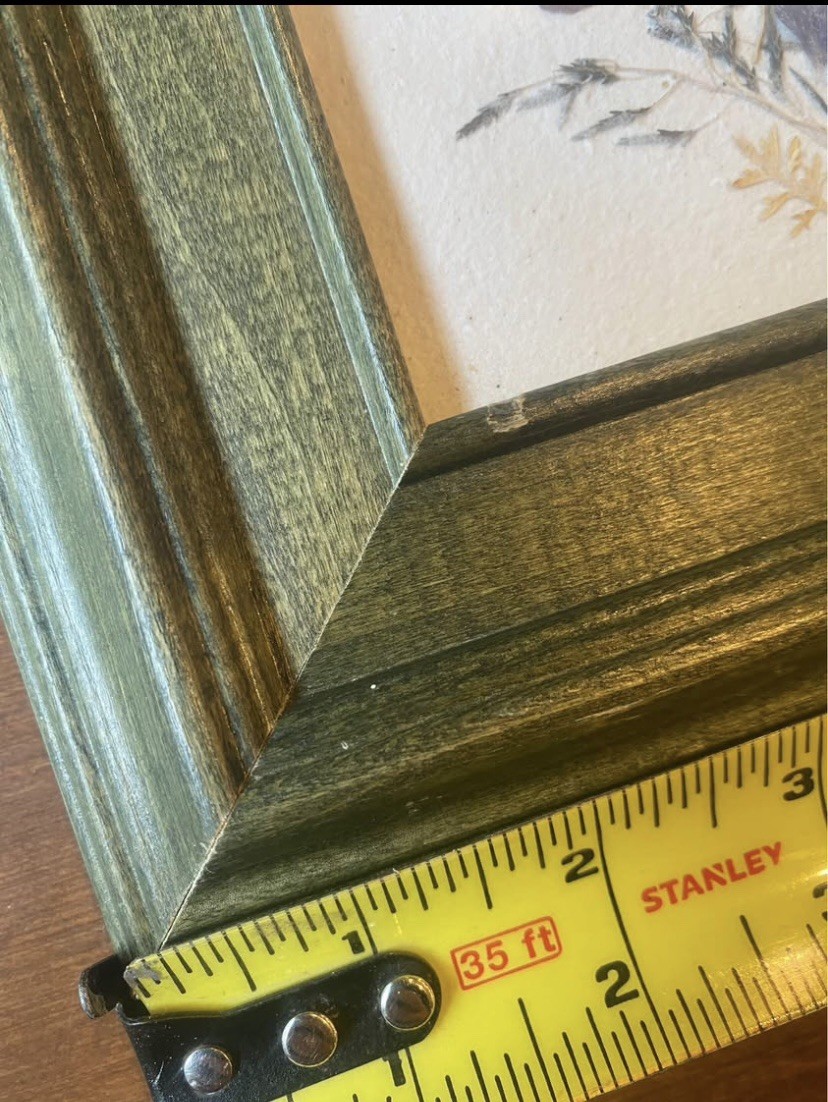 Framed Pressed Flower Wall Art