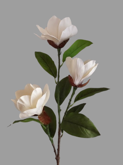 Magnolia stem bush CREAM