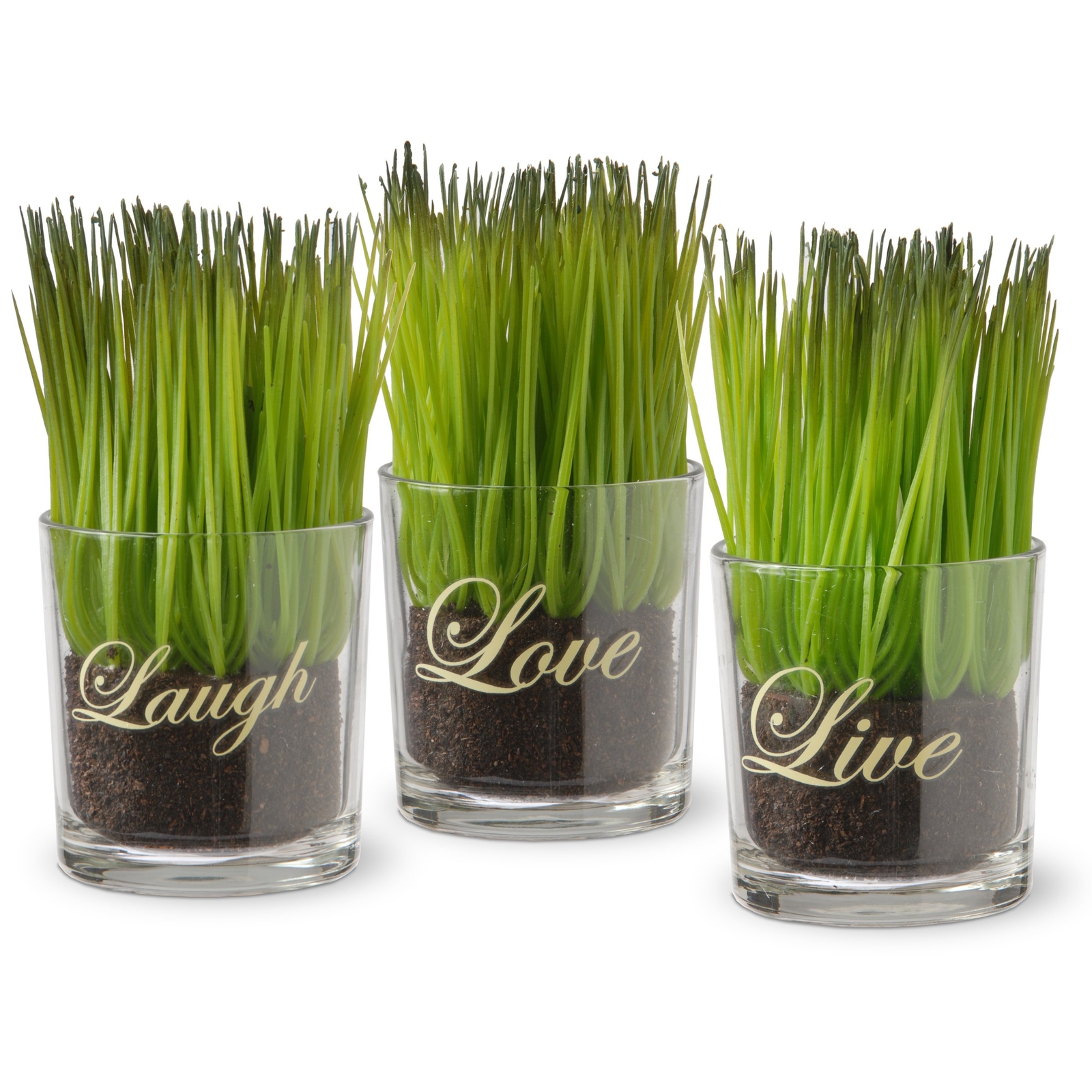 Artificial Potted Plant Set Green Plant Sprouts Square Glass Pot Base With Messa