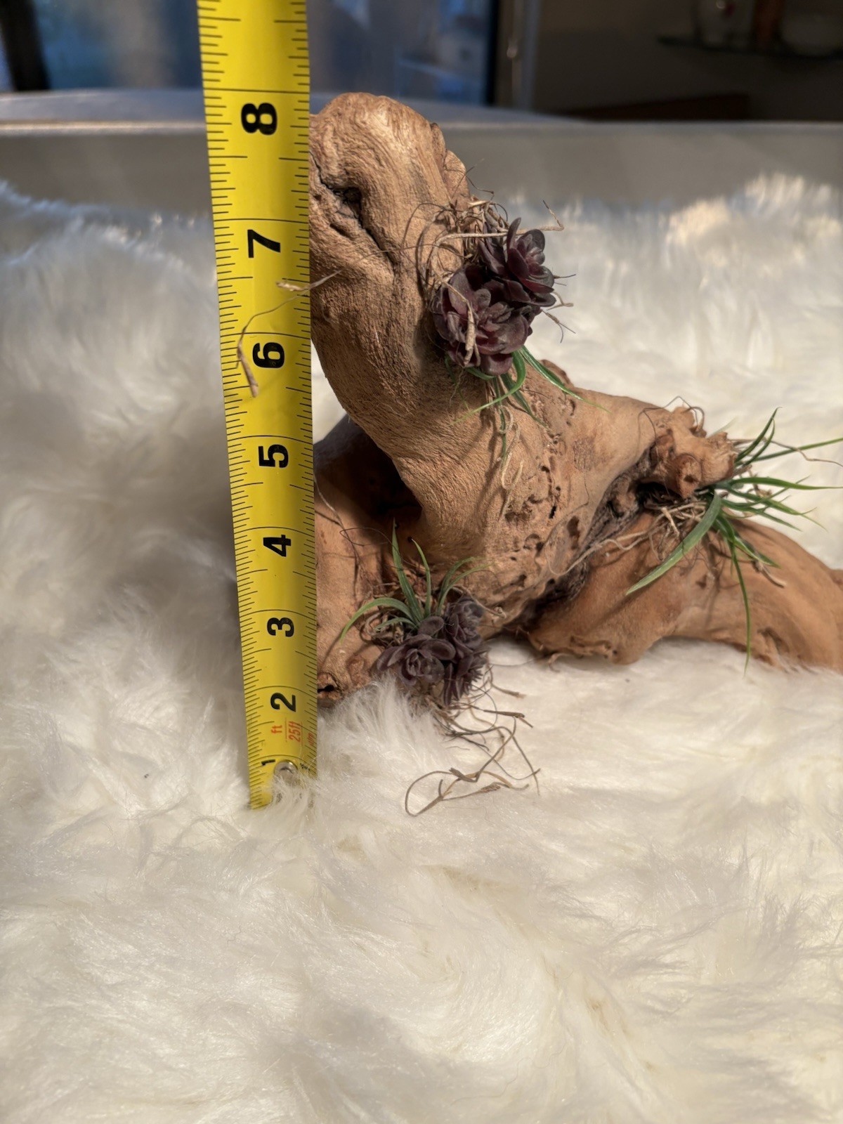 Grapewood Branch Natural Rare Piece Decorative With Colored Succulent Grass