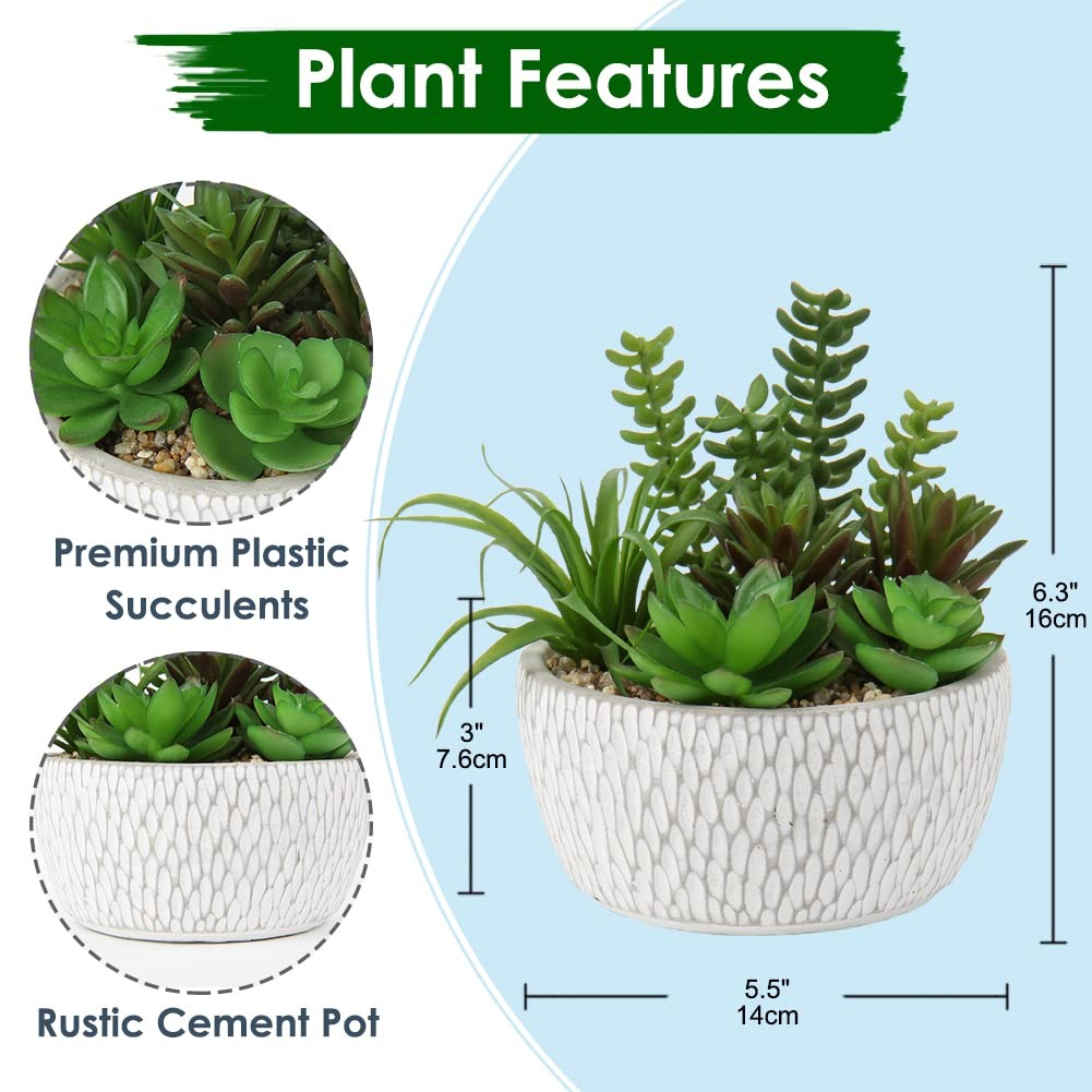 Small Fake Plants Assorted Faux Succulents Cement Pots Realistic Artificial