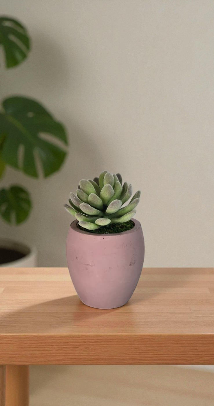Modern Concrete Succulent in Pink Pot – Handmade Decor, No Water Needed!