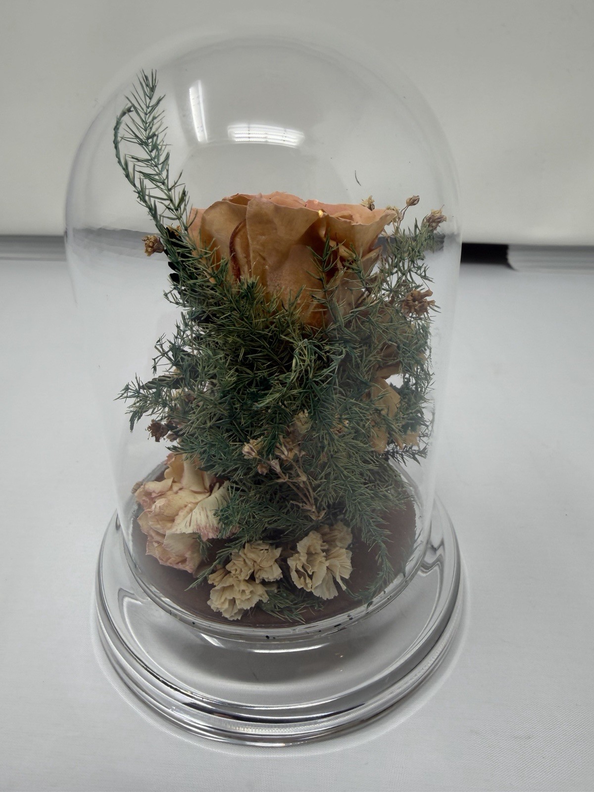 Natural Expressions Freeze Dried Rose Floral Keepsake Glass Dome Decor