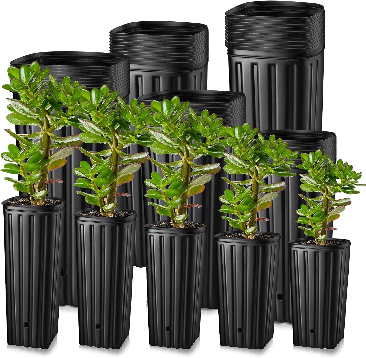 100 Pcs Tall Tree Pots, Plastic Deep Plant Nursery Pots, Tall Seedling Flower Pl