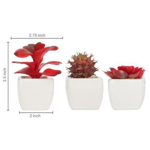 Assorted Artificial Red Succulent Plants, Fake Plants in Square Pots, Set of 3