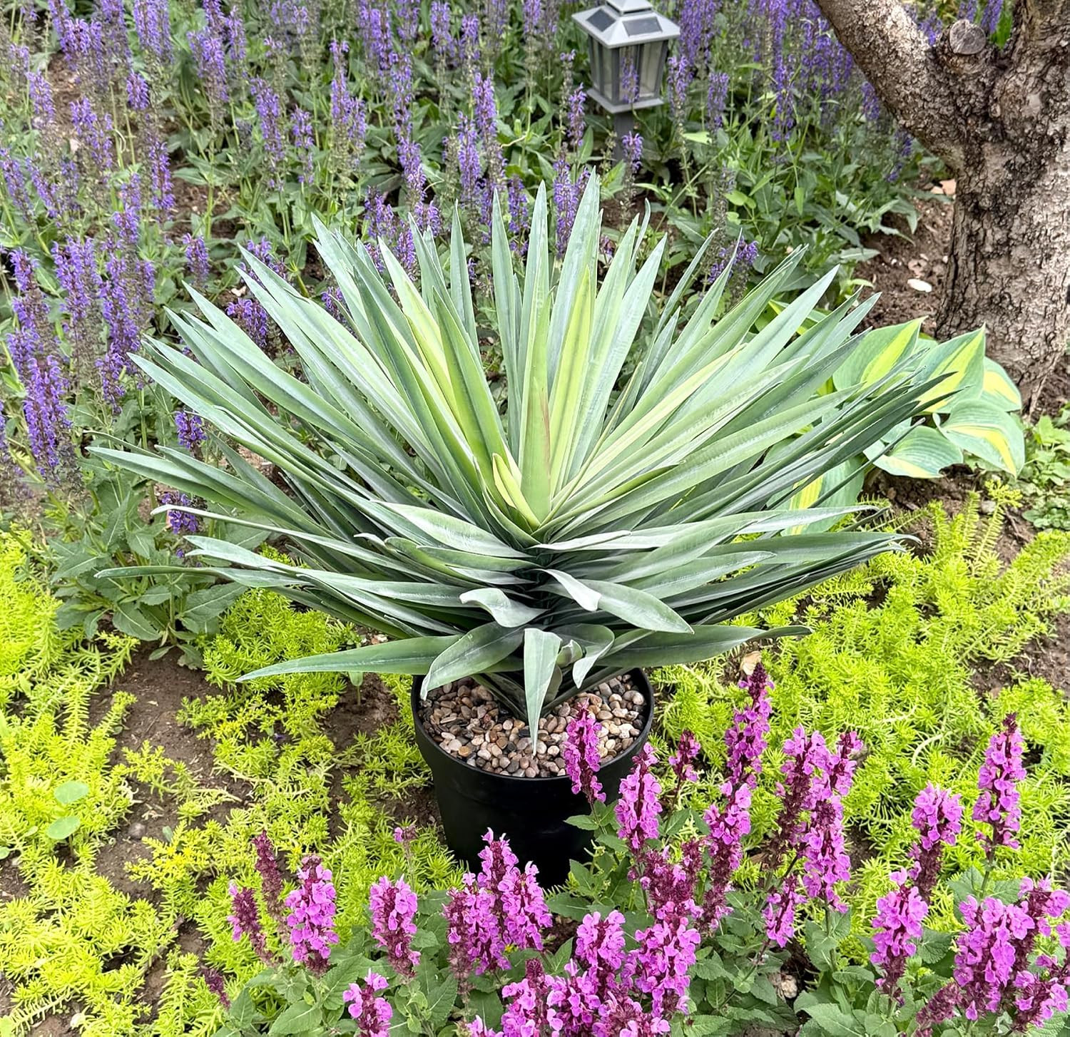 27 Inches Tall Artificial Agave Plant in Black Pot with Real Stone Pebbles, 126