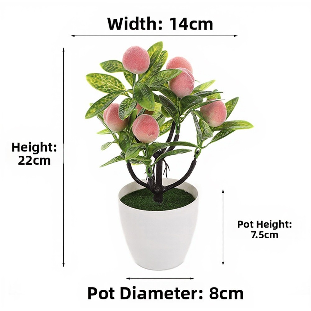 Indoor Fruit Bonsai Plant Decoration for Living Room Table Arrangement
