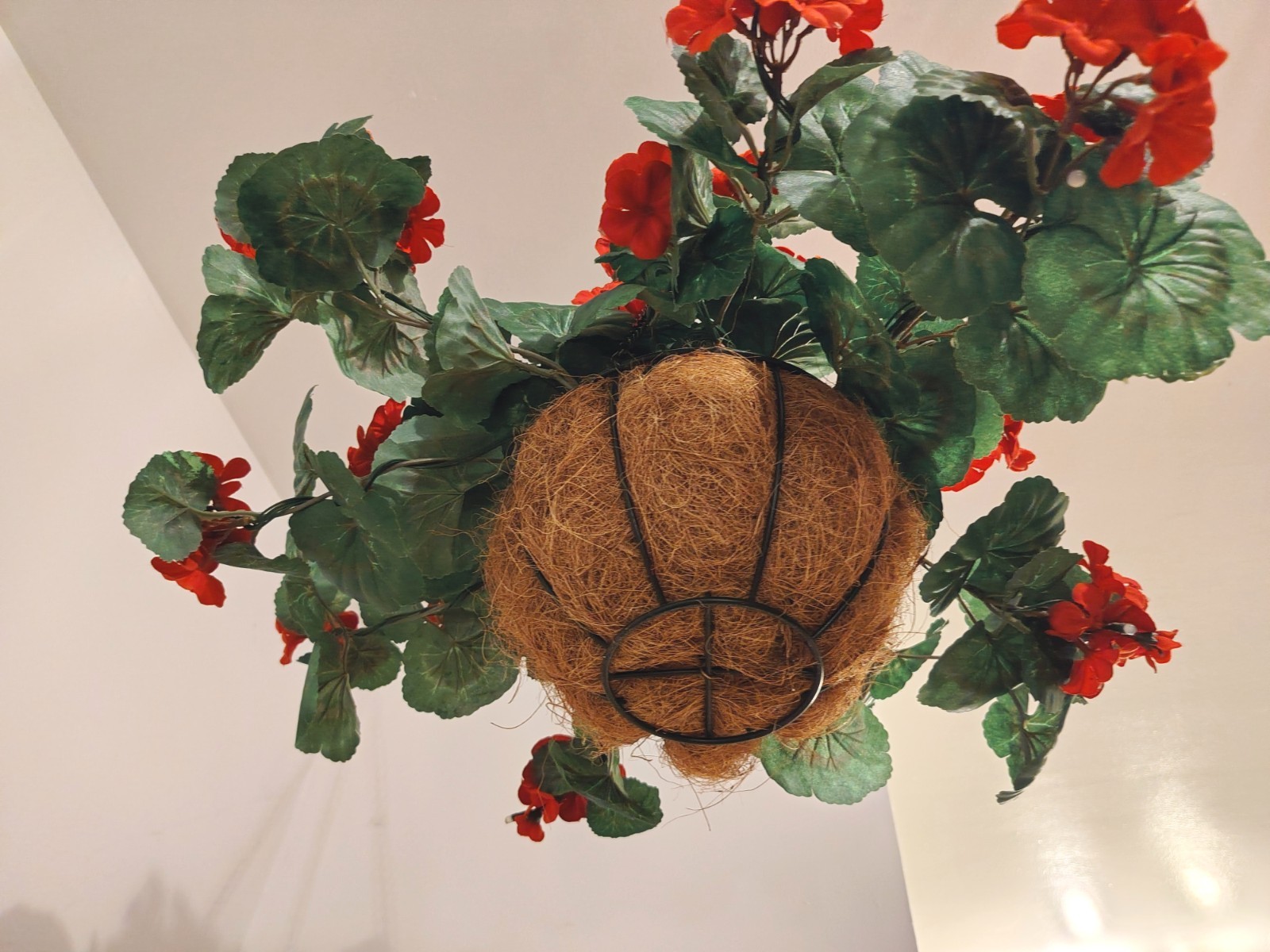 Flowering Geranium Artificial Plant Hanging Basket, Pelargonium W/ Lights, 24″