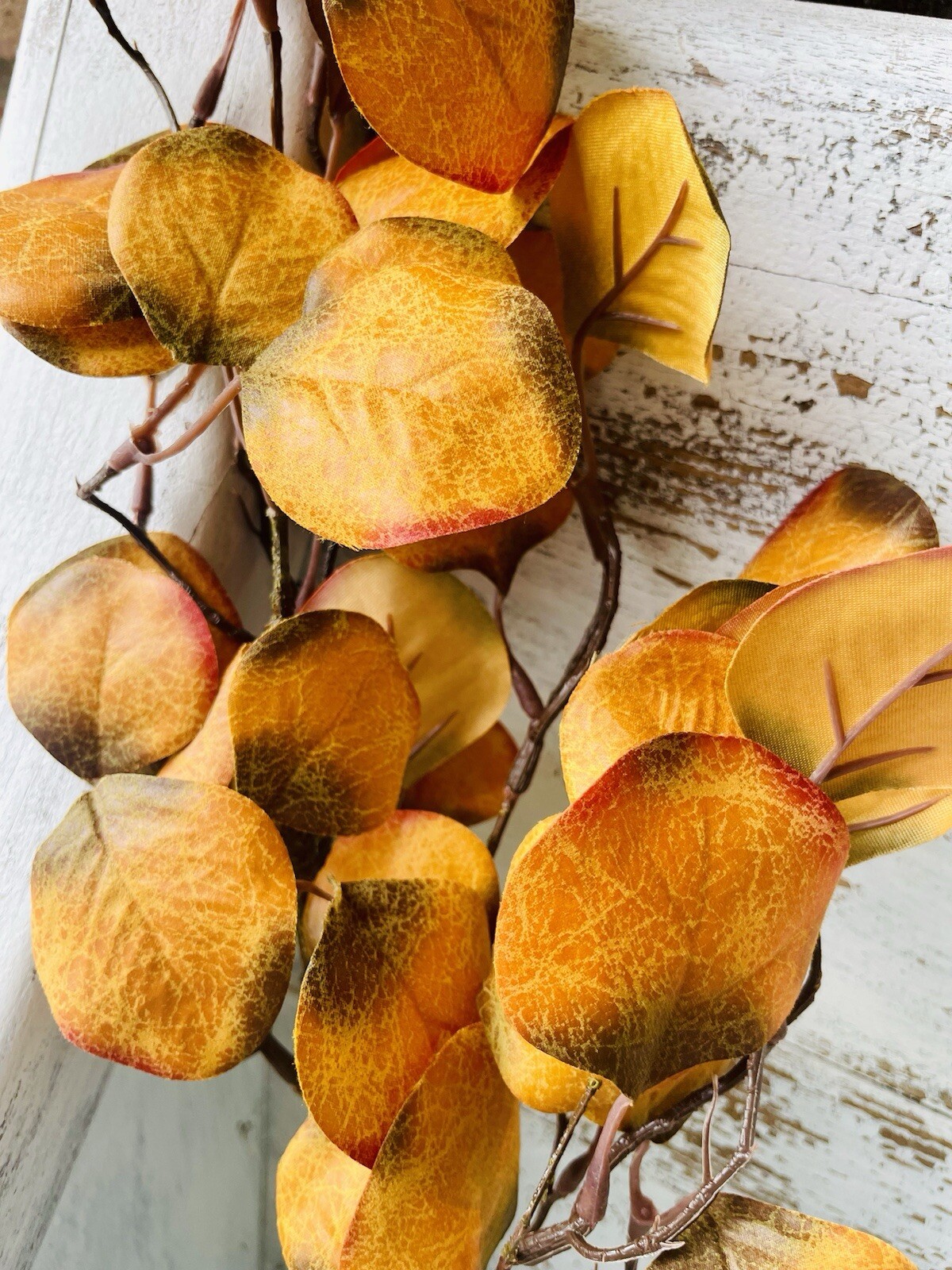 Gold Eucalyptus Pick, 28” One Pick Only