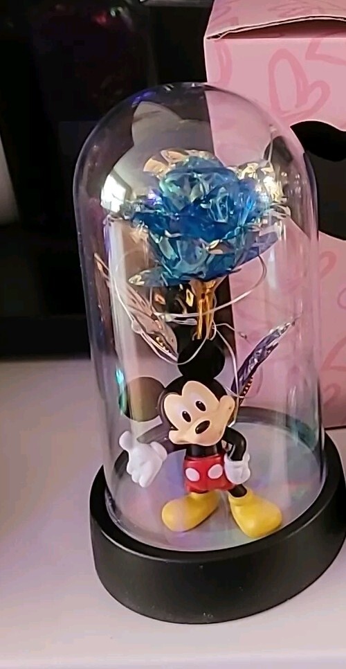 Rose LED Light Foi Crystal Flowers With Mickey Valentine’s Day Gift Box