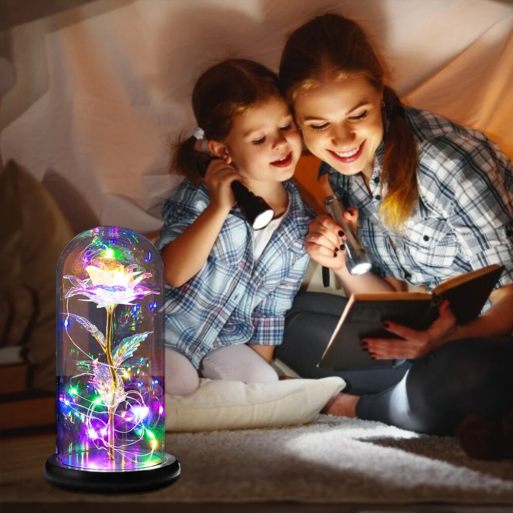 Preserved Forever Valentines Day Flower Gifts for Her Glass Light Up Rose Gifts