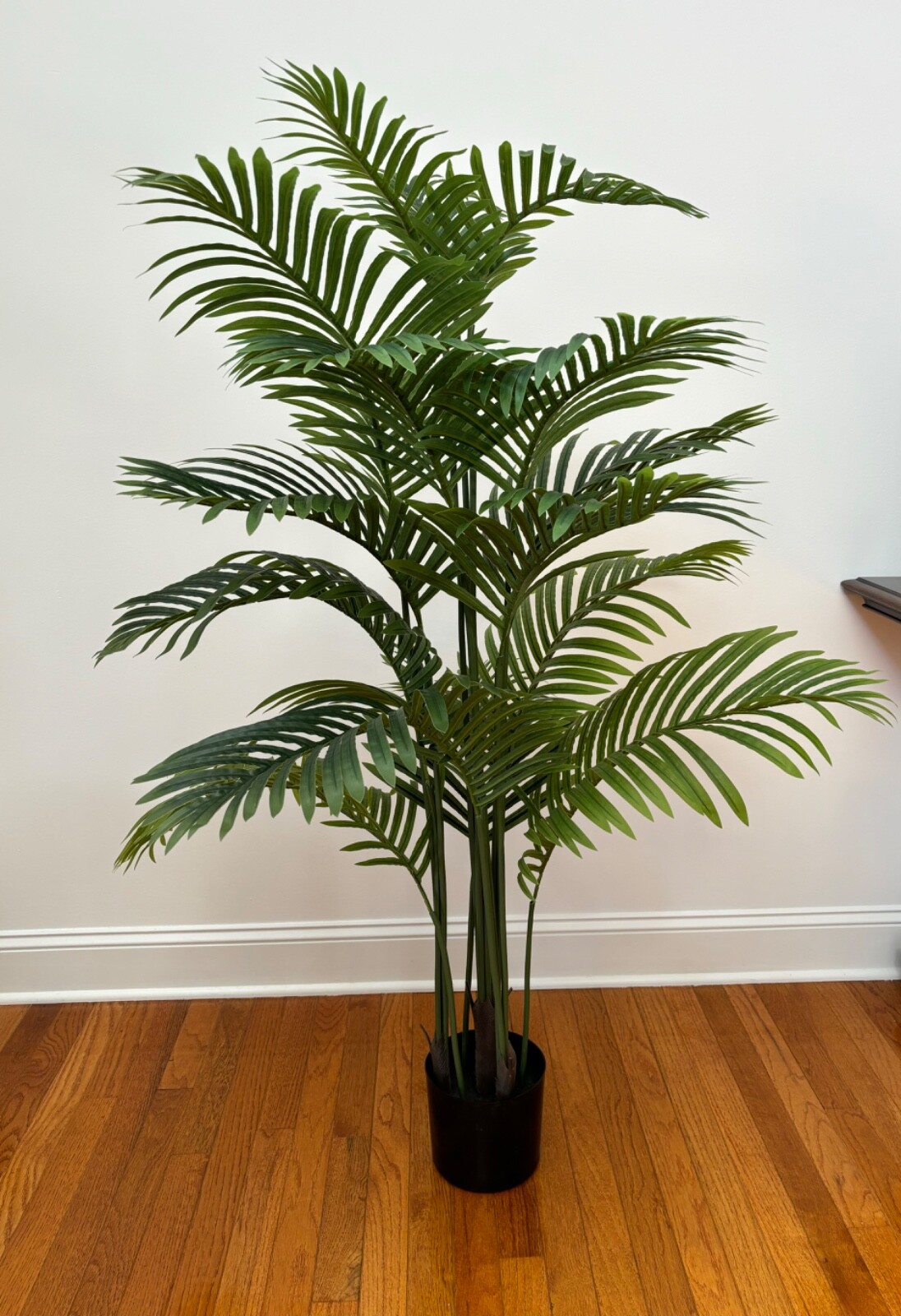 Wildwood & Cypress 52” Realistic Palm Tree Plant Variegated Foliage Indoor Faux