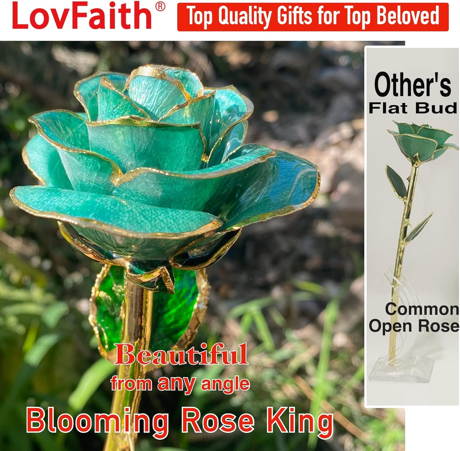 24K Gold Dipped Rose with Crystal Vase, Love‘S Gift for Her Wife | Top Quality f
