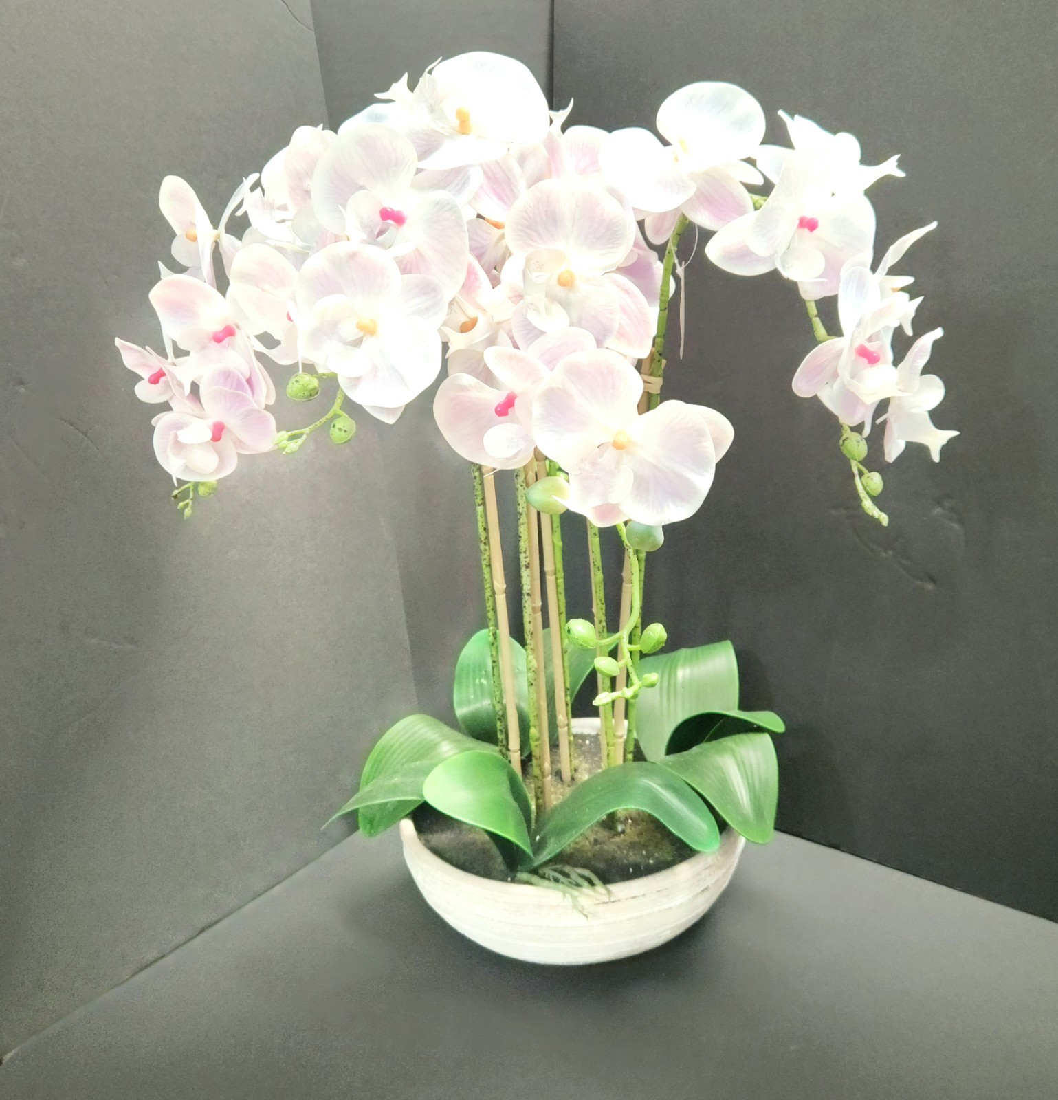 Allen + Roth Silk Artificial Orchid – New