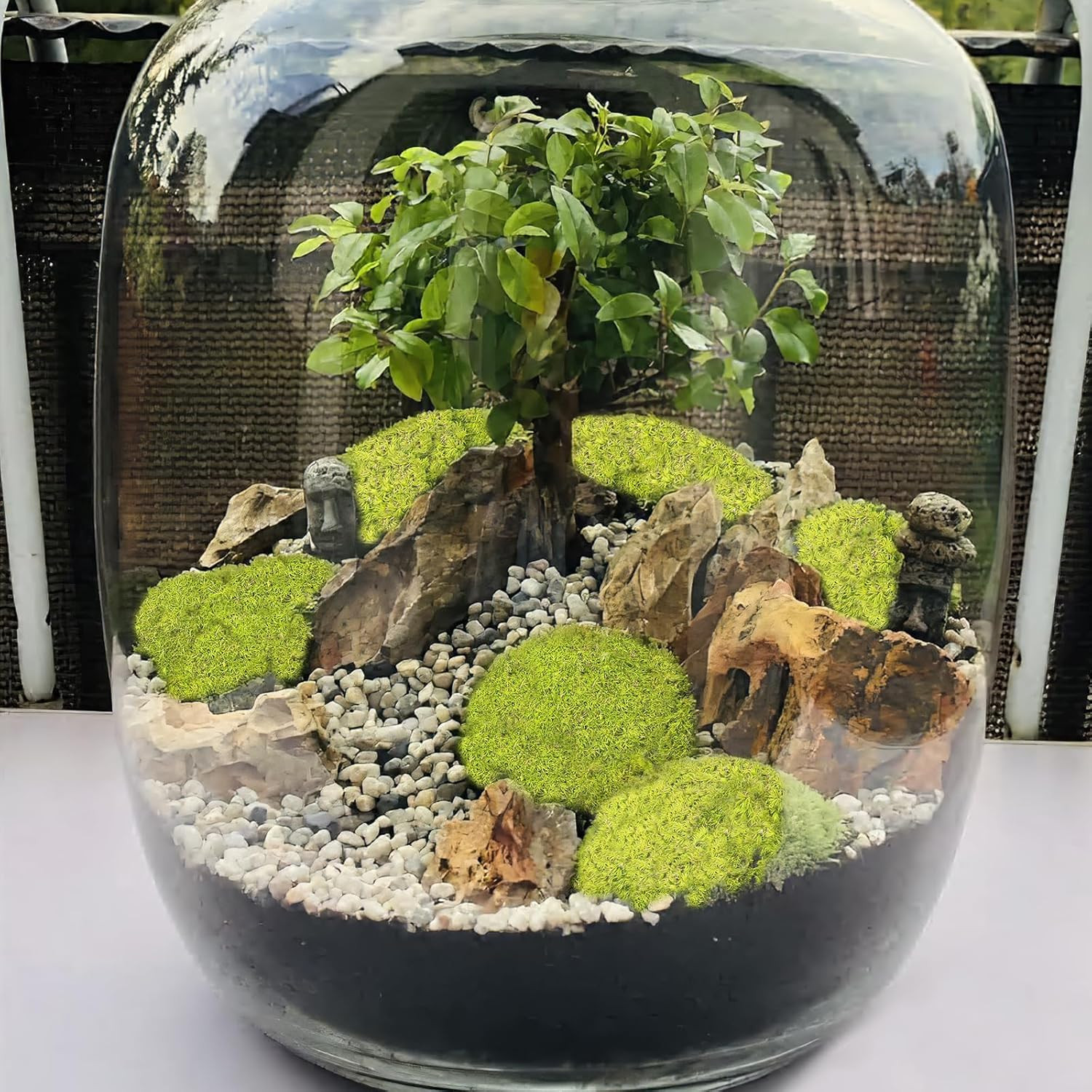 Preserved Pillow Moss Bulk Green Moss Balls for Bowls 2.5 Sq.Ft Natural Preserve