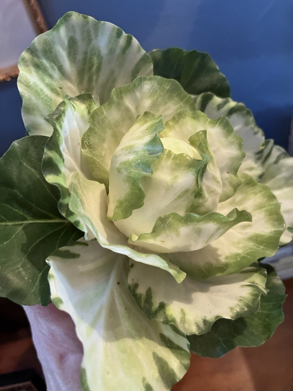 Realistic Potted Cabbage Plastic Ceramic Pot Garden Spring Easter 7inch Green