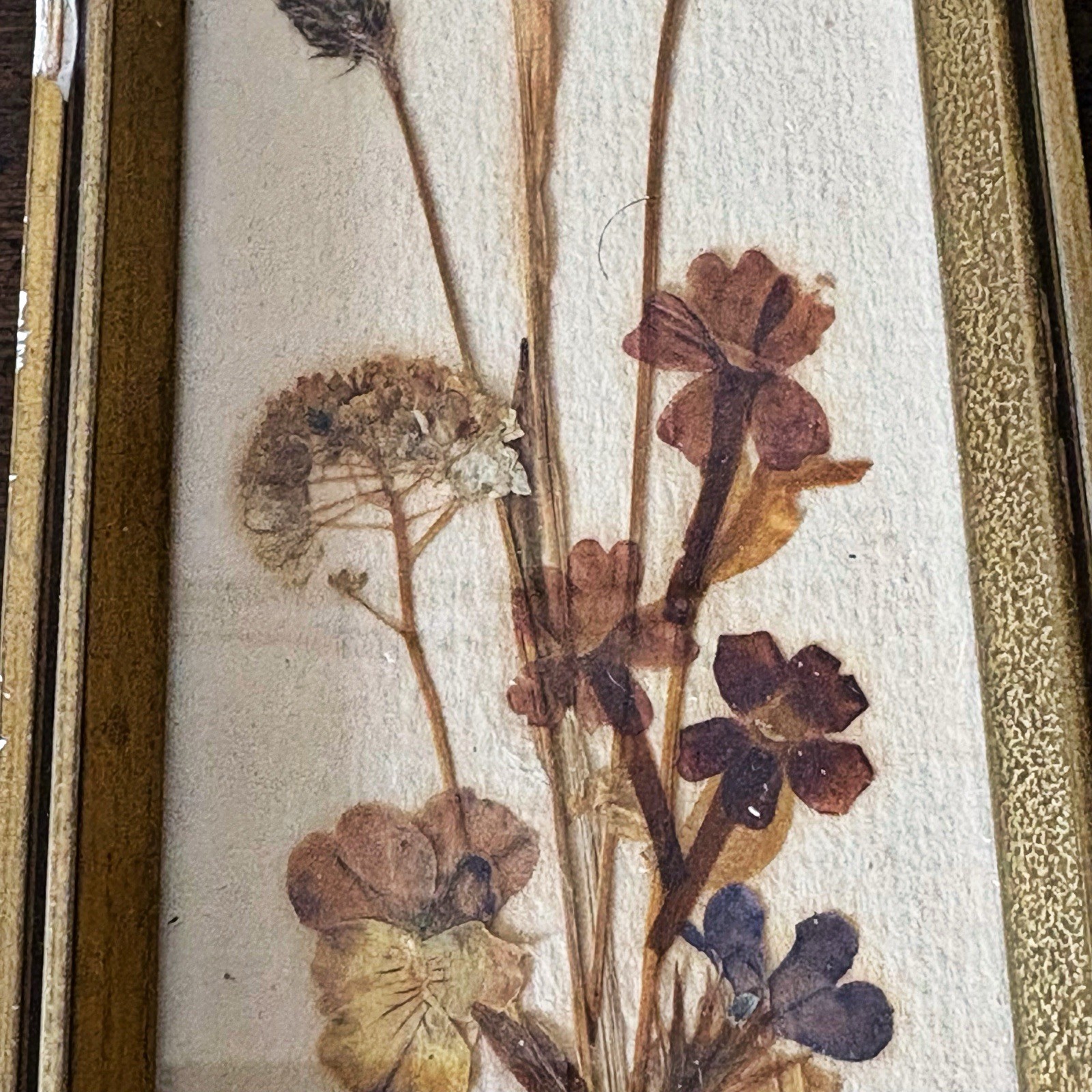 Set Vintage Pressed Flower Framed East Germany 7.5”x2.75” Cottage Core Signed