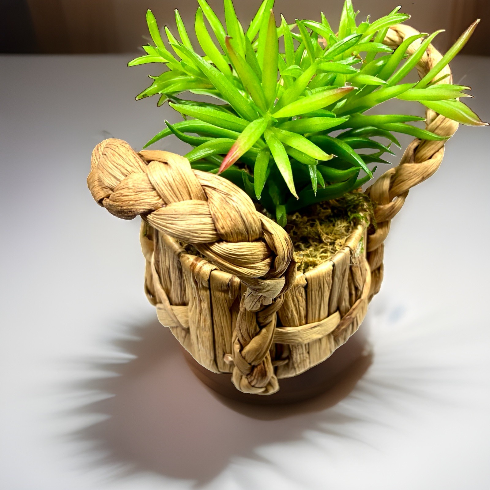Artificial Faux Succulent Potted Plant In Basket Home Office Shelf Decor