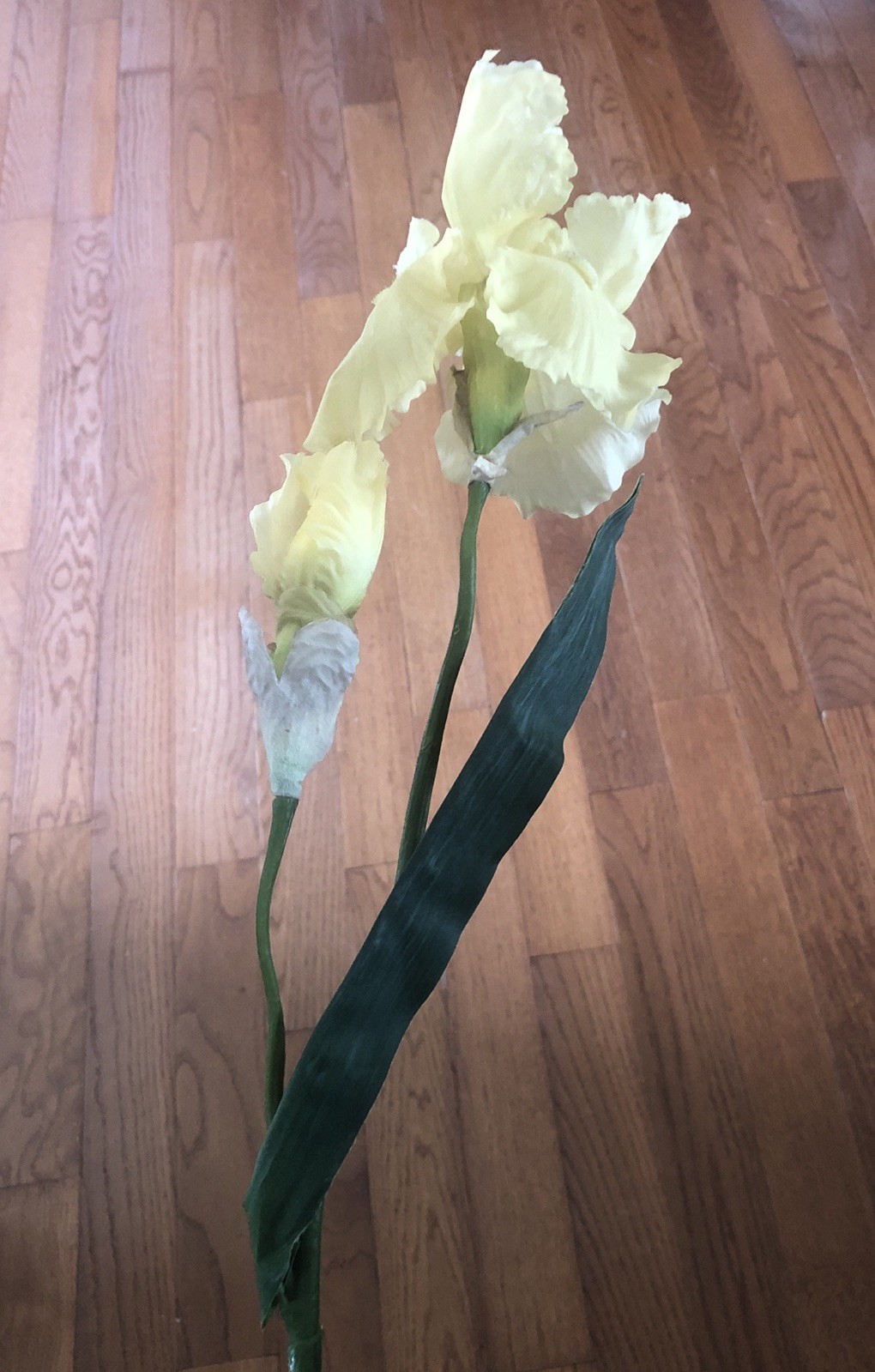 5 Stalks Yellow Iris Flowers Bouquet Long Stems Silk Artificial Crafts Weddings