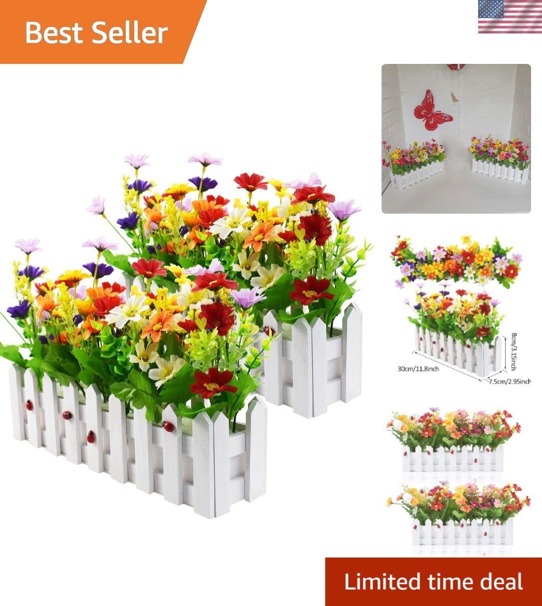 Charming Mixed Color Daisy Plants in Fence Pots for Home and Wedding Decor