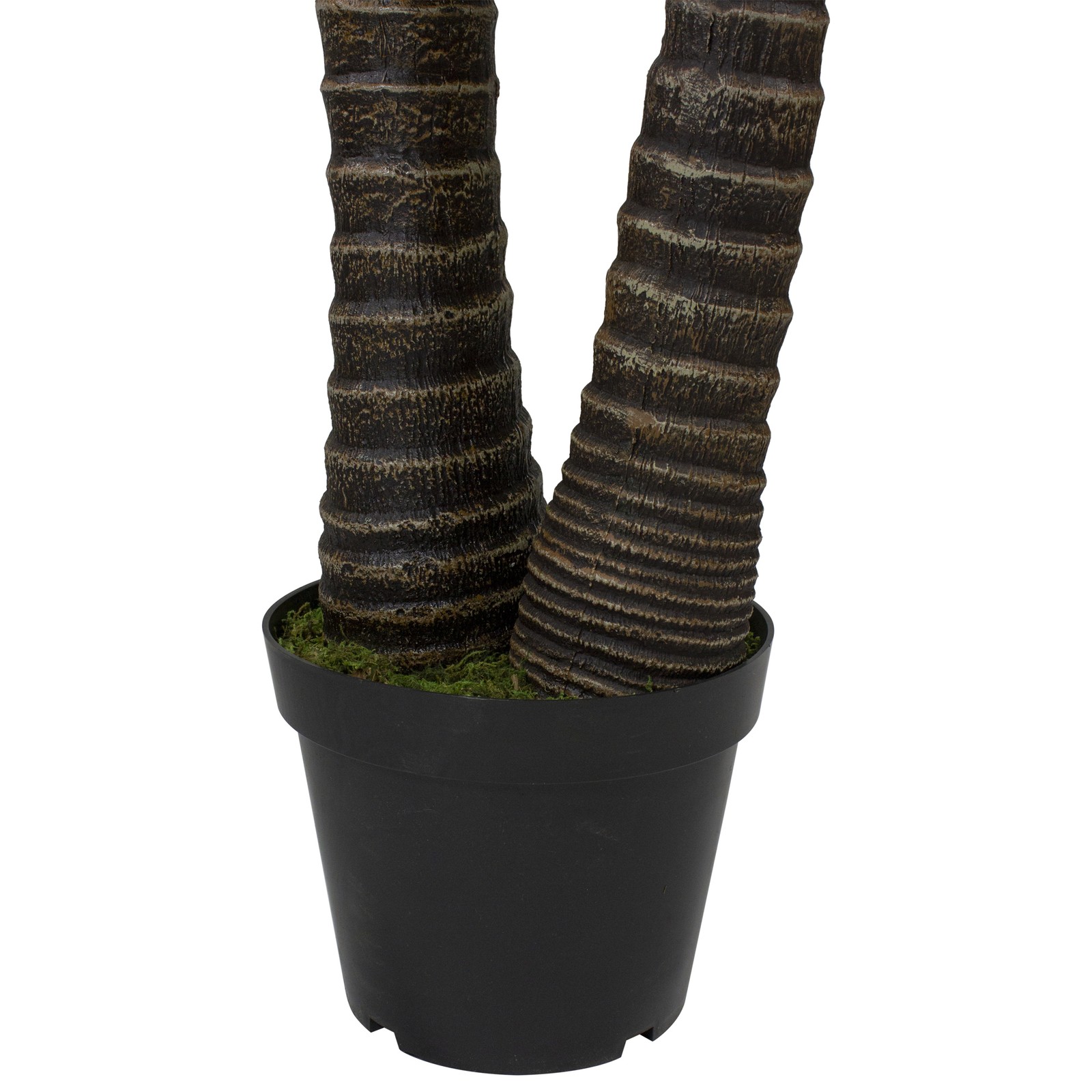 Northlight 5′ Potted Two Tone Green Cycas Artificial Floor Plant