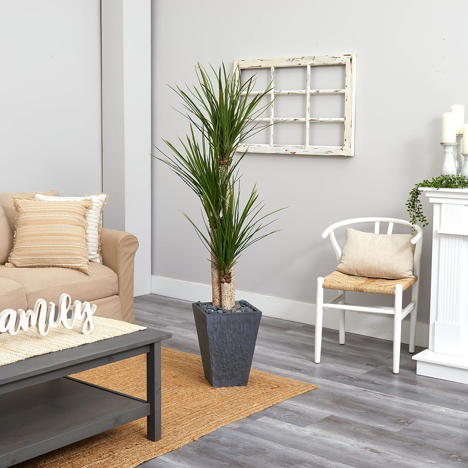 5.5Ft Triple Stalk Yucca Plant in Stylish Slate Planter for Home Decor