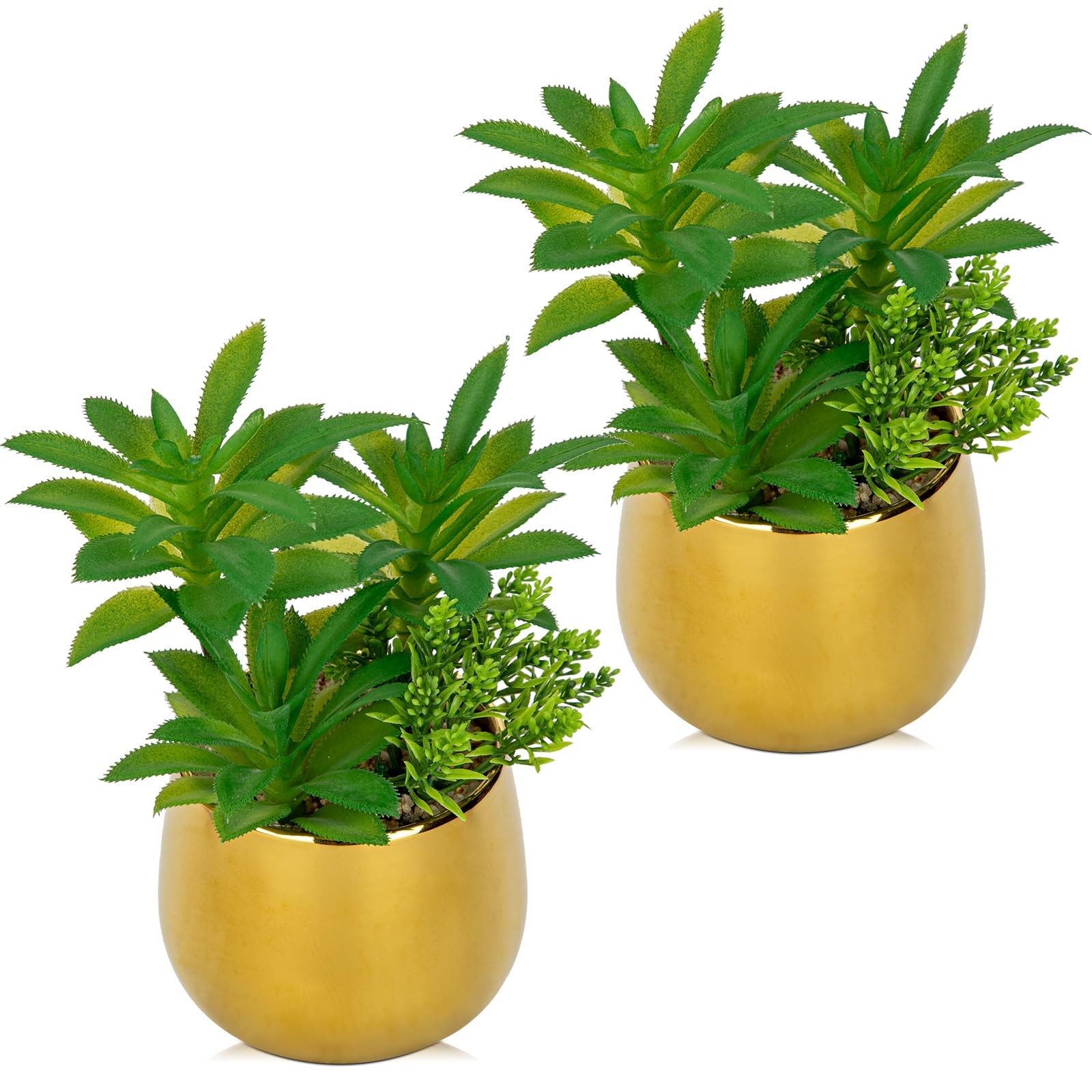 Artificial Succulents Plants in Ceramic Pots, 2 Pack Faux Succulent Set with …