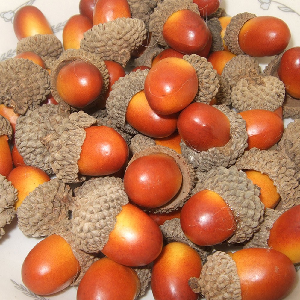 Realistic Fake Acorn Ornament Set of 50 for Home Decoration and Photo Props
