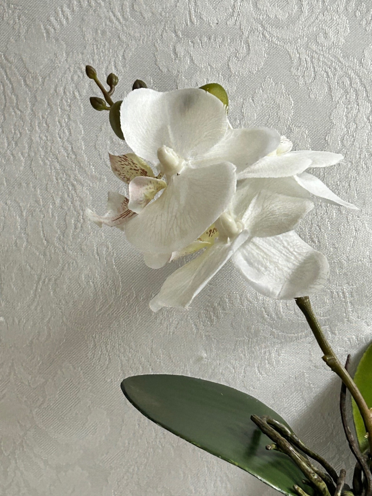 Mackenzie Childs ROYAL TOILE Medium POTTED ORCHID Blue/White Ceramic 17″ T NEW