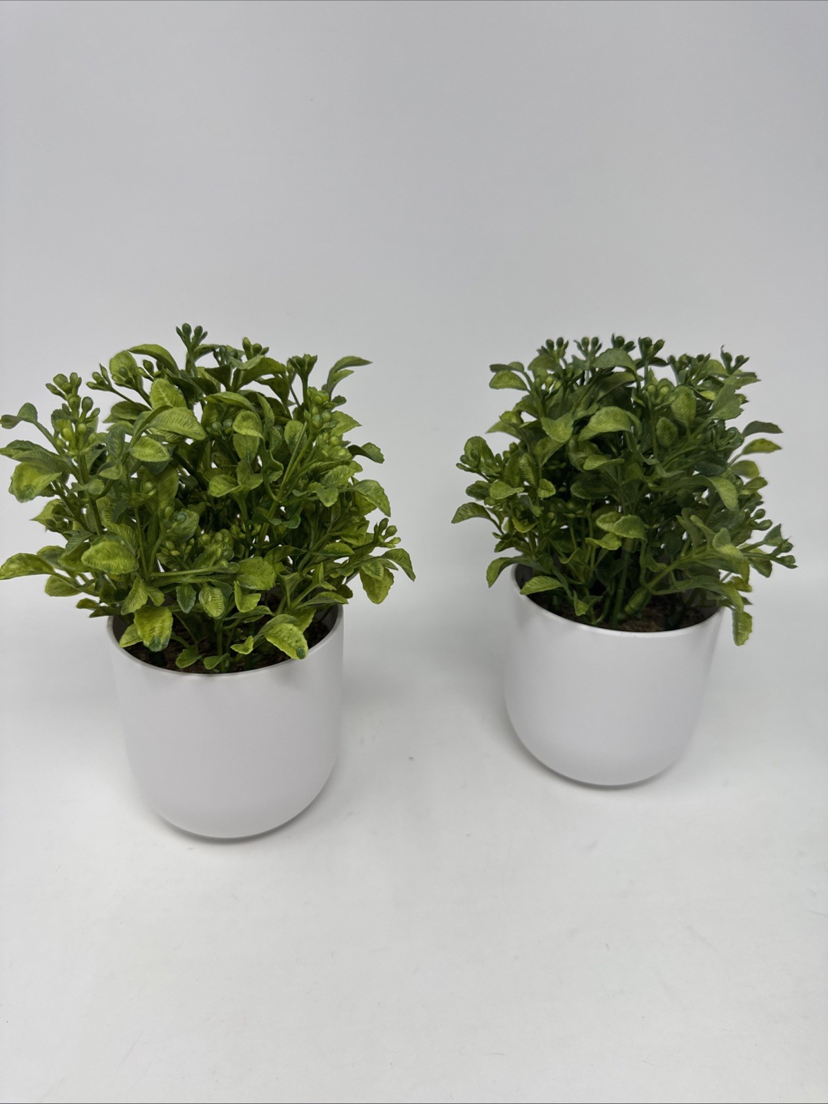 2 Threshold Artificial Plants – 8″ Mini Boxwood Green / White Pot -NEW