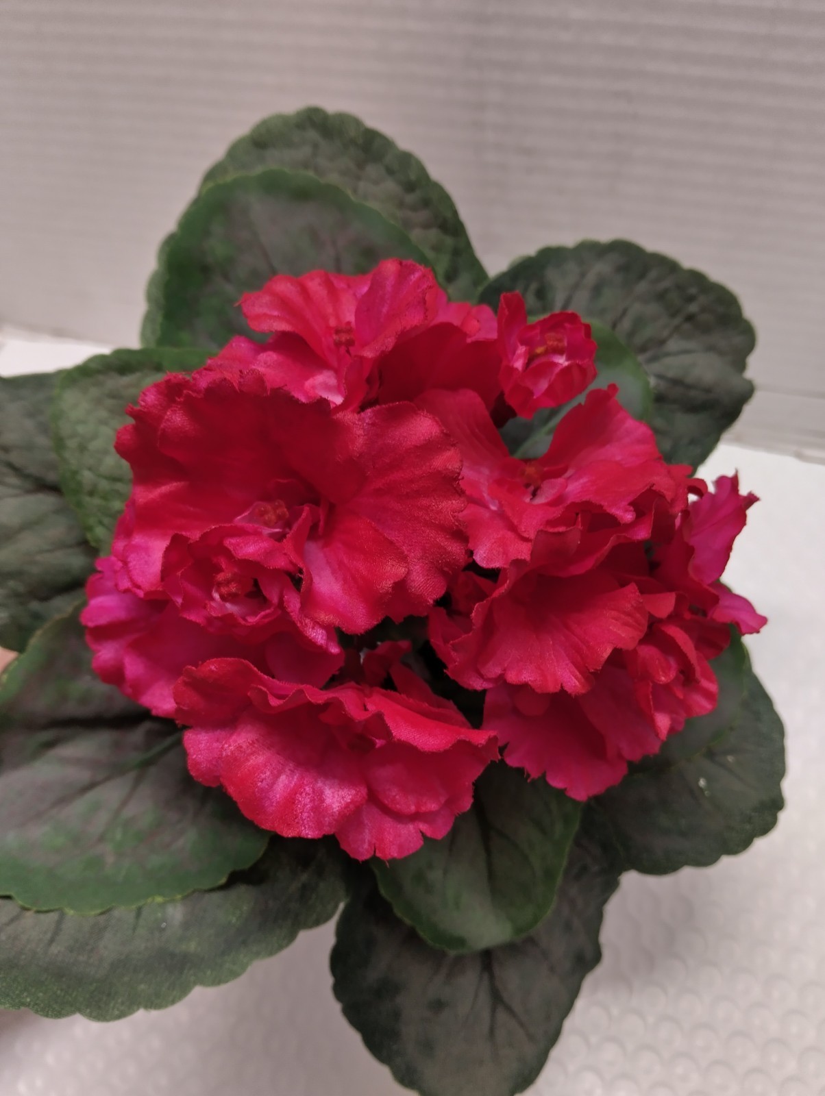 9″ Artificial African violet (Magenta) without pot