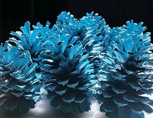 12 Blue Pine Cones Hand Painted All Natural Premium Quality Cones One Dozen 