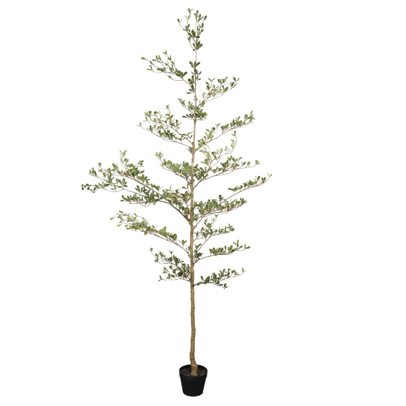 7FT Artificial Black Olive Tree Realistic Tall Elegant Fake Plant for Home Decor