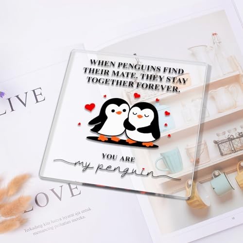 Mens Valentines Day Gifts for Him Her: Romantic Acrylic Plaque with Stand for