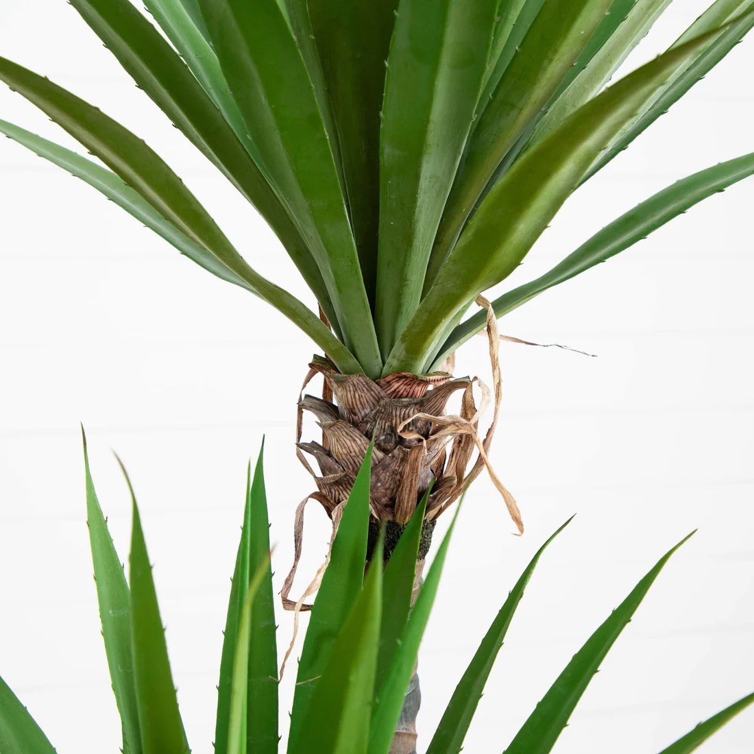 Artificial Yucca Tree in Black Planter, Green/Brown 48″ Floral & Garden